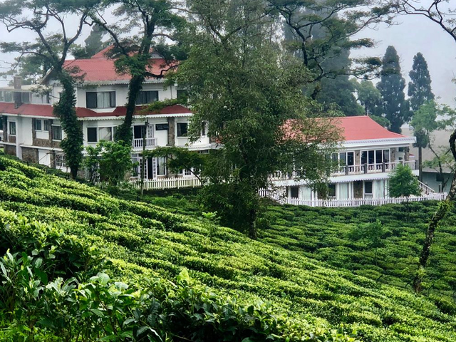 Sourini Tea Garden